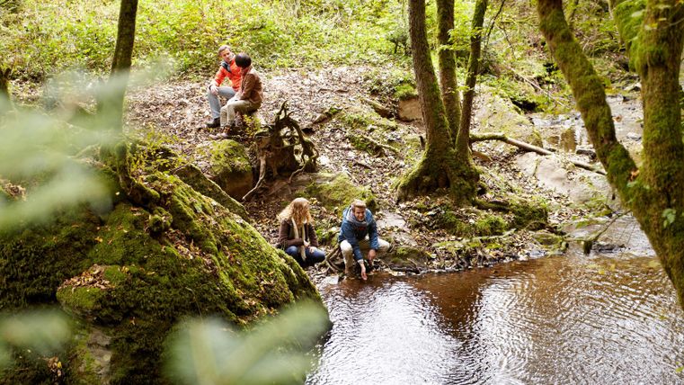 Four people sit and stand by a small river in a wooded area.