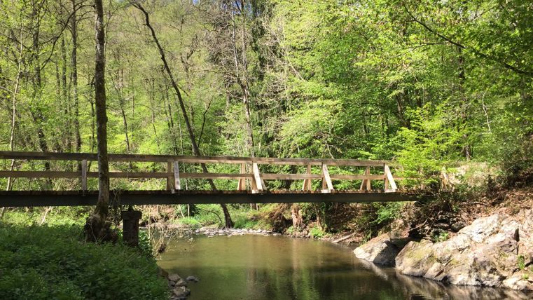 Wooden bridge over a small river in a wooded area.