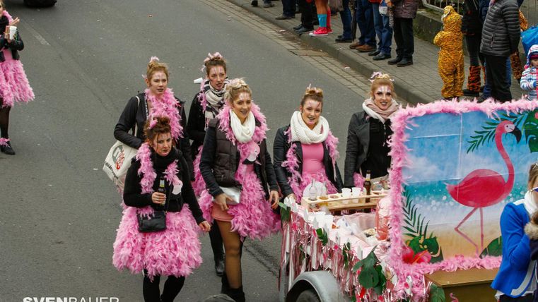 A group of women in pink costumes passes by a parade. In the background, there is a brightly decorated vehicle with a flamingo motif.