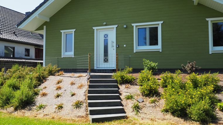 Ein modernes, grünes Haus mit einer weißen Tür und Fenstern. Der Vorgarten ist gepflegt mit einigen Pflanzen und einem kleinen Rasen.