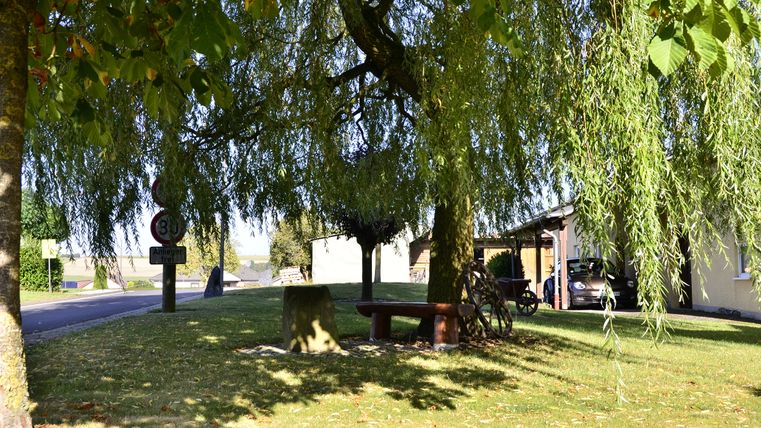 A shady resting place with a bench under a tree next to a road in Stockem, South Eifel Nature Park.