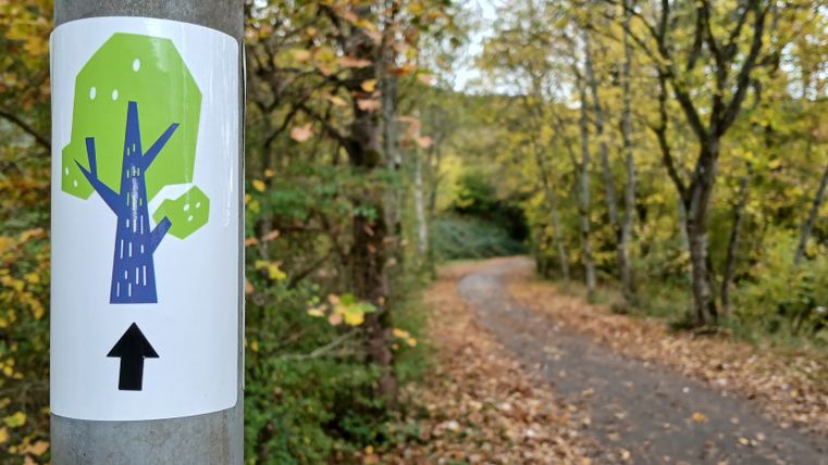 A path in the forest with a sign showing a stylized tree and an arrow.