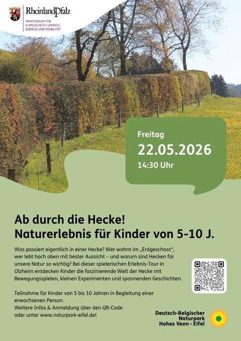Ein Informationsplakat über eine Veranstaltung im Naturpark Nordeifel. Es lädt zu einer Erkundung der Fossilien der Prümer Kalkmulde ein, die am 16. Mai 2026 stattfindet.
