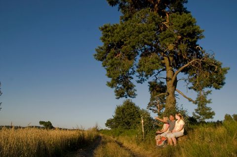 Drie mensen zitten op een bankje onder een boom op een landweggetje.