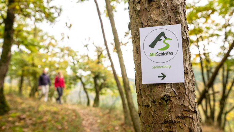 Ein Baum mit einem Schild der AhrSchleifen-Wanderroute im Wald, im Hintergrund zwei unscharfe Wanderer.