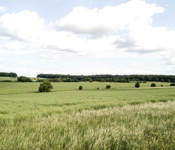 Vaste paysage de prairies vertes à Idenheim avec des arbres épars et un ciel nuageux., © Ingrid Penning