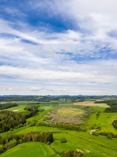 Eine weitläufige grüne Landschaft mit sanften Hügeln und vereinzelten Wäldern. Der Himmel ist klar mit einigen Wolken.