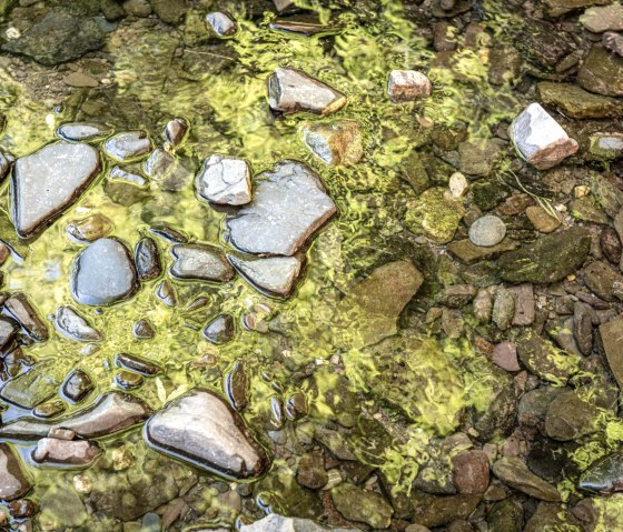 Reflet de l'eau au Roter Puhl sur le sentier des gorges, © Eifel Tourismus GmbH, D. Ketz
