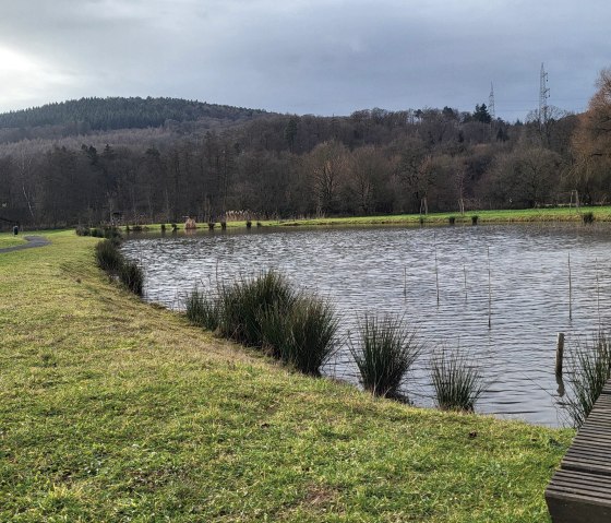 Salmpark bei der Dreyshalle, © Tourist-Information Wittlich Stadt & Land