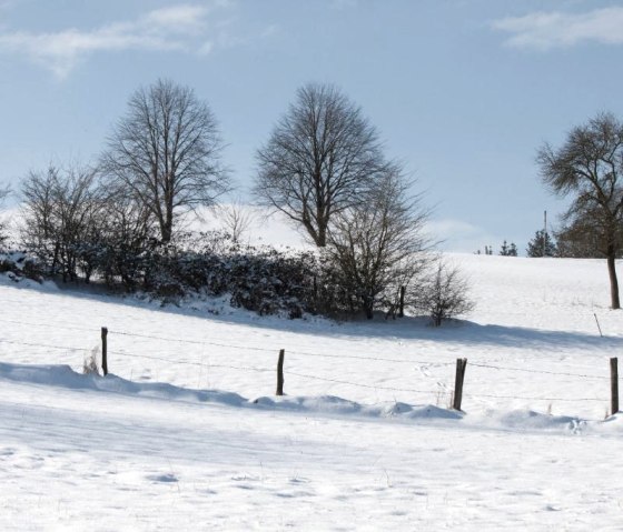 Winter in Herhahn