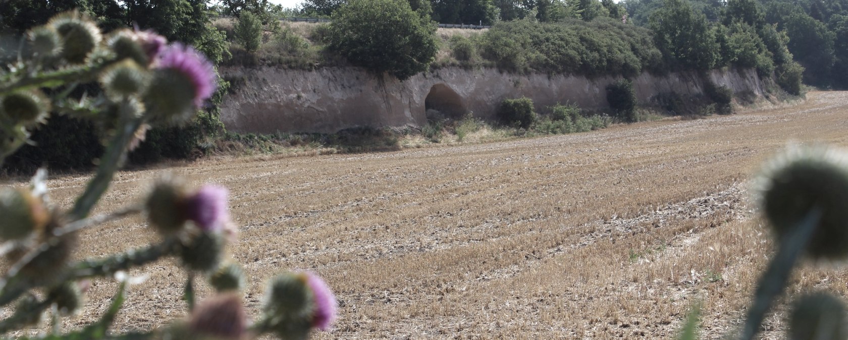 Tunnel system in the Kruft stream valley, © VG Pellenz/Alexandru Manea