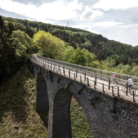 Tour à vélo sur le viaduc près de Daun sur la piste cyclable Maare-Moselle, © Eifel Tourismus GmbH, D. Ketz