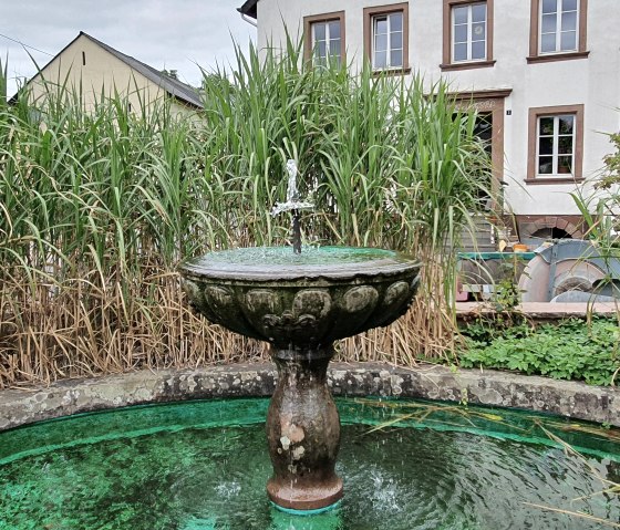 Village fountain in Oberkail with green water, surrounded by tall grasses. A building can be seen in the background., © TI Bitburger Land - Steffi Wagner