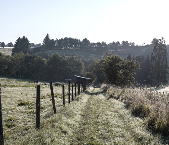 Eifelspur Dahlemer Quellenpfad - Sentier de randonnée des prairies, © Nordeifel Tourismus GmbH