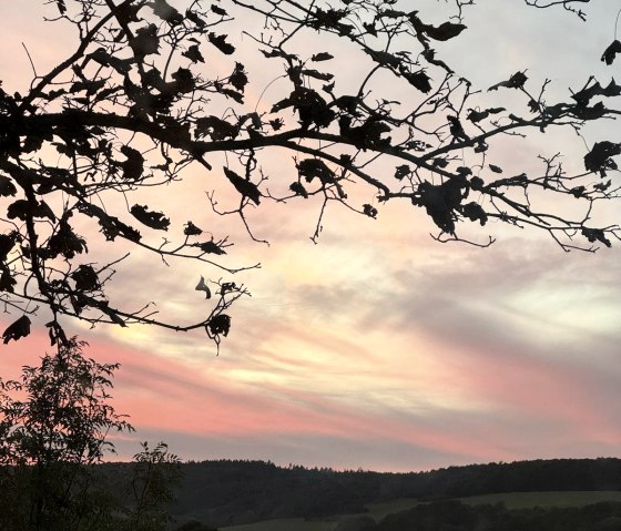 Abendsonne über Schalkenbach