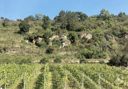 Vignoble, © Felsenland Südeifel Tourismus GmbH, Anna Carina Krebs
