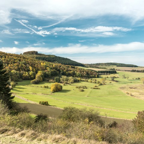 Dreiser Weiher op de Vulkangipfel-Pfad wandelroute, © Eifel Tourismus GmbH - D. Ketz