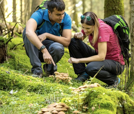 Wandern im Manscheider Bachtal, © Eifel-Tourismus GmbH, Dominik Ketz