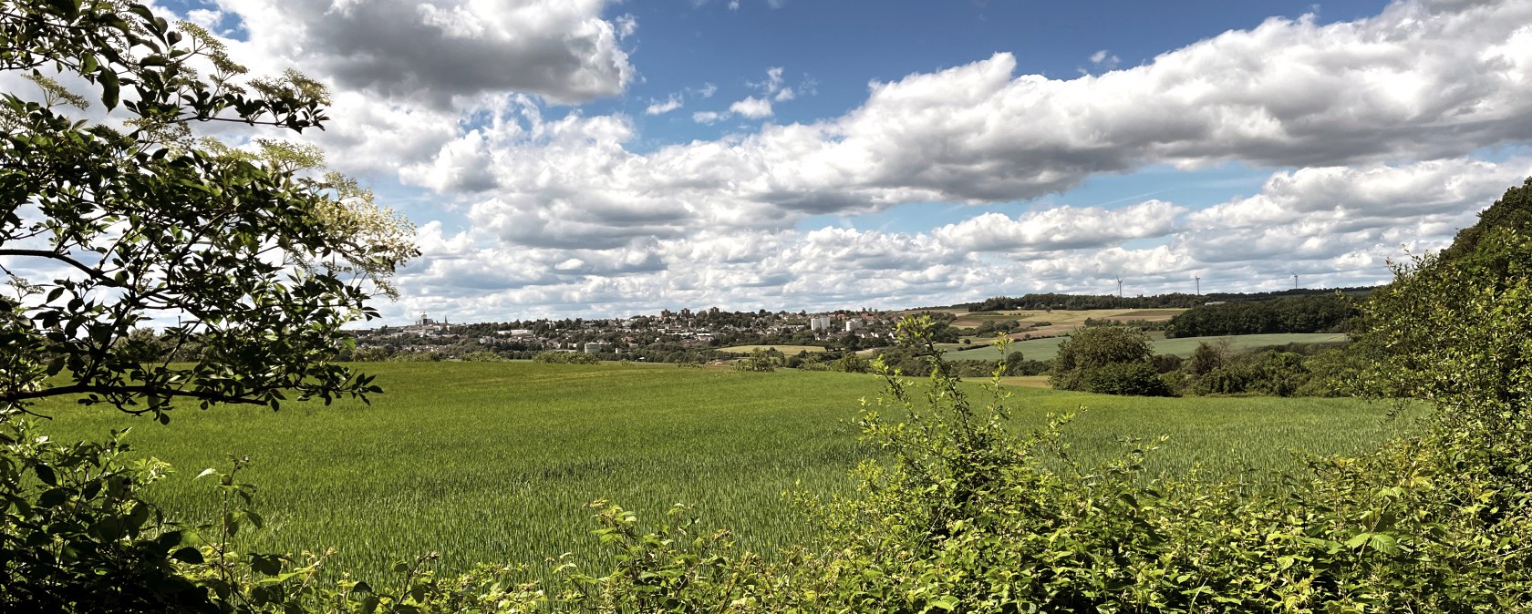Grüne Felder erstrecken sich unter einem bewölkten Himmel. Im Hintergrund sind Hügel und eine Siedlung zu sehen, umrahmt von Bäumen., © TI Bitburger Land