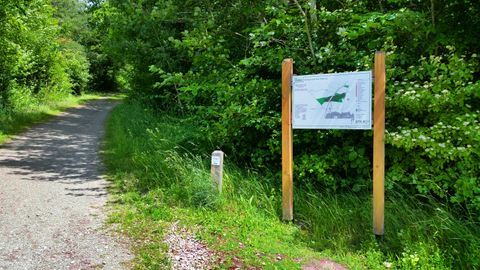 Un chemin forestier avec un panneau d'information au bord du chemin.