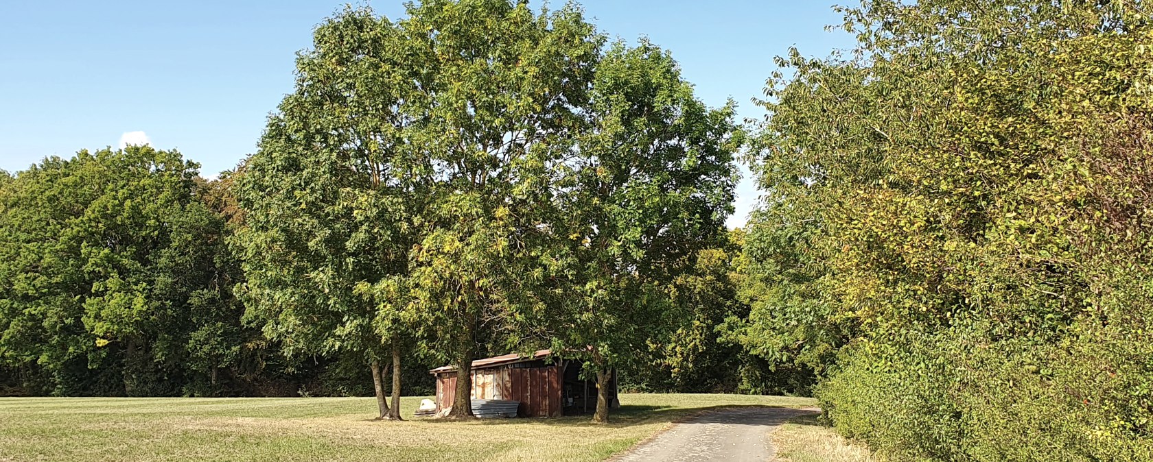 Kleine schuur onder bomen in een weiland, met een pad ernaast. Blauwe lucht en groene vegetatie., © TI Bitburger Land - Steffi Wagner