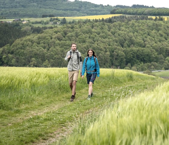 Hike through fields and meadows on the Hochkelberg Panorama Trail, © Eifel Tourismus GmbH, D. Ketz