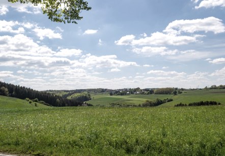 Eifelspur Münstereifelsteig - Erftaue nature reserve, © Nordeifel Tourismus GmbH