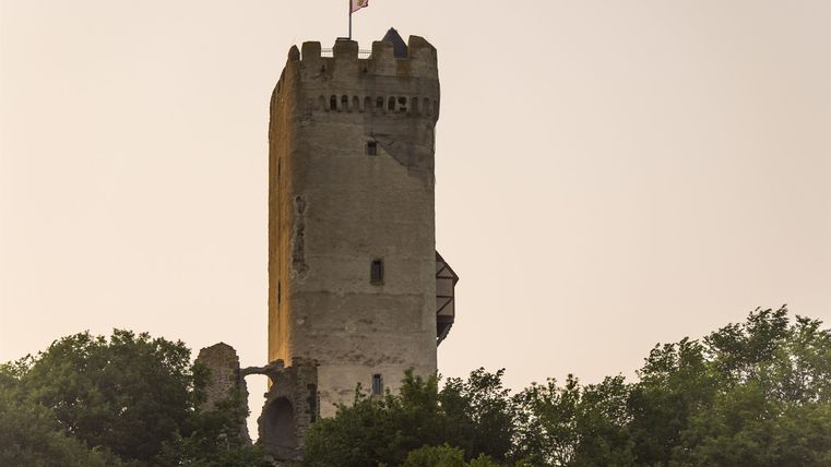 Een oude toren, omringd door bomen, stijgt de lucht in. Een vlag wappert boven op de toren.