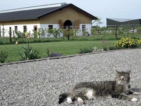 View of the riding stables