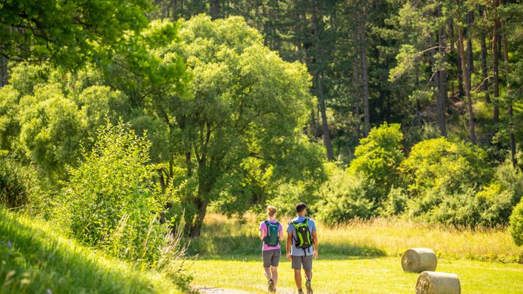 Twee mensen wandelen op een pad door een groene landschap. Omringd door bomen en struiken genieten ze van de natuur.
