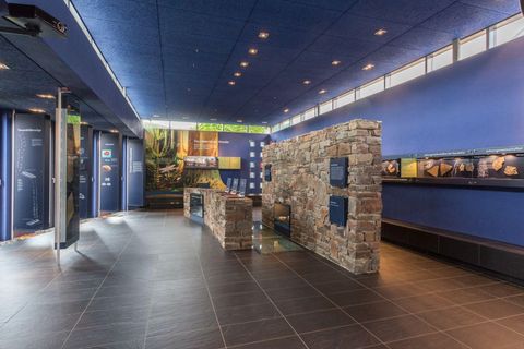 A modern exhibition space with blue walls and a stone pillar. The room is well-lit and accommodates various information stands.