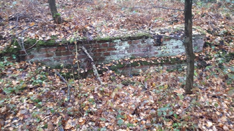 Eine verfallene Mauer aus Ziegeln, von Laub und kleinen Pflanzen umgeben. Die Szene befindet sich im Wald und zeigt die Spuren der Natur, die langsam zurückkommt.