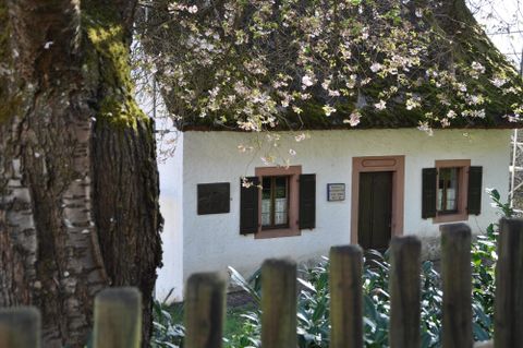 Een traditioneel huis met rieten dak, omringd door bloeiende bomen en groene planten. De ramen zijn versierd met zwarte luiken.
