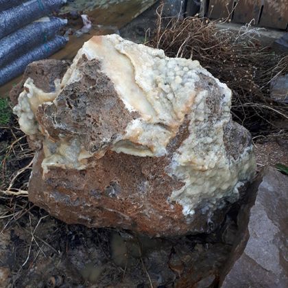 Een grote, onregelmatige rots met een ruwe oppervlakte en lichte mineralen. Hij ligt op de grond, omringd door droog gras en andere rotsen.