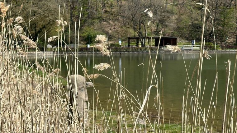 Ein ruhiger See umgeben von hohen Gräsern. Im Hintergrund ist eine kleine Hütte sichtbar.