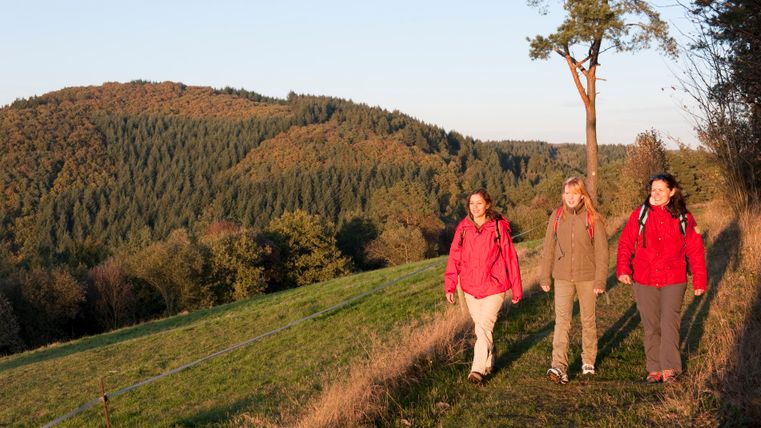Drei Frauen wandern auf einem Pfad durch eine herbstliche Landschaft mit bewaldeten Hügeln im Hintergrund.
