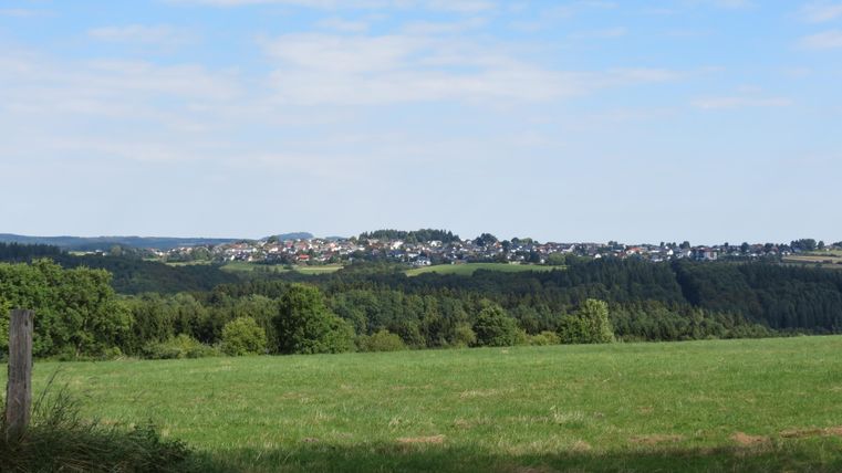 A spacious green meadow with trees in the foreground. In the background, a picturesque village can be seen in a hilly landscape.