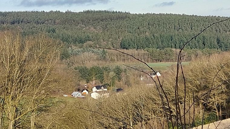 A peaceful landscape with gentle hills and dense forest. In the foreground, there are bare trees, while in the background, some houses are nestled among the trees.