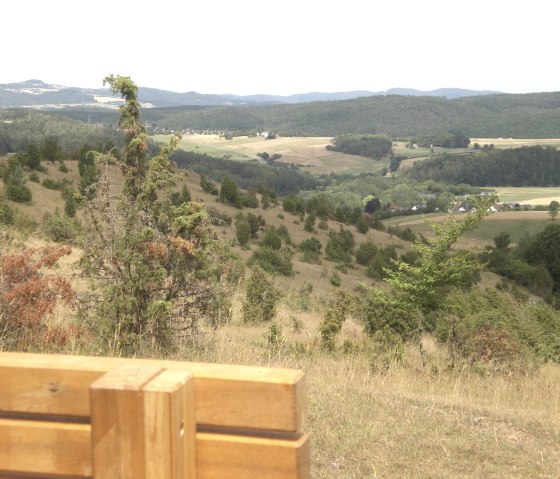 Wacholder Heide bei Niederehe
