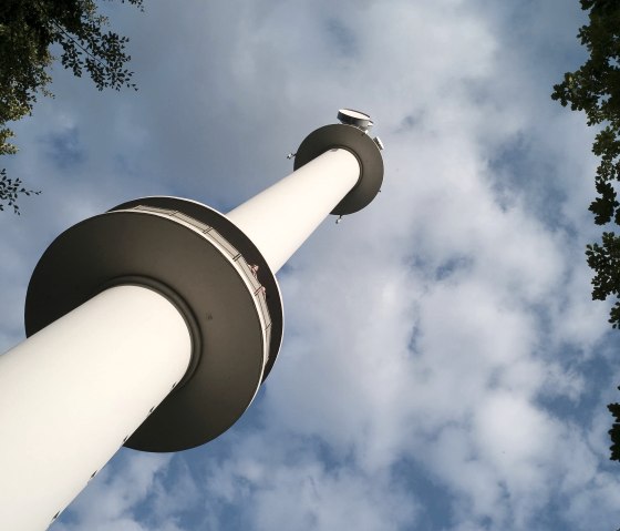 Storm met zwanenhals, © Kappest/Remet
