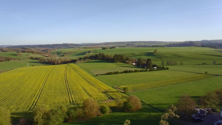 Een uitgestrekt landschap met groene velden en bomen. De lucht is helder en het gebied lijkt vredig.