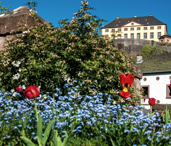 Schloss Malberg thront über einem blühenden Garten mit roten Tulpen und blauen Blumen. Ein weißes Gebäude mit grünen Dachziegeln ist ebenfalls sichtbar., © Tourist-Information Bitburger Land_Monika Mayer