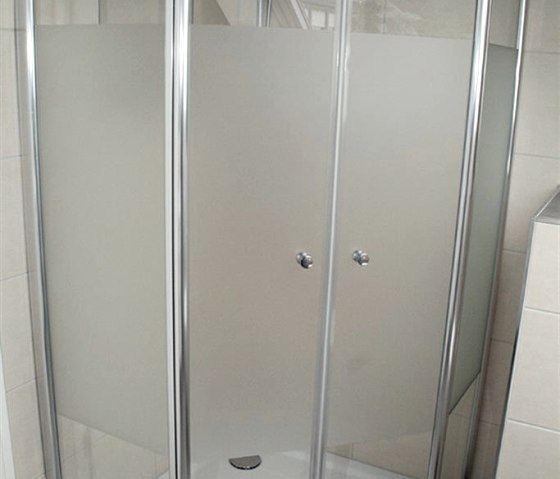 Panoramic view shower