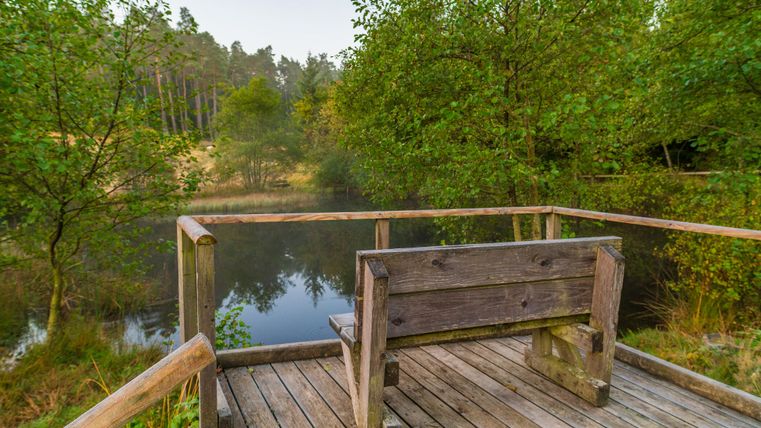 Houten bank op een loopbrug met uitzicht op een meertje, omringd door bomen in de Eifel.