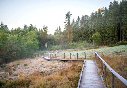 EifelSchleife Moorpfad, Steg durchs Moor, © Nordeifel Tourismus GmbH, Paul Meixner