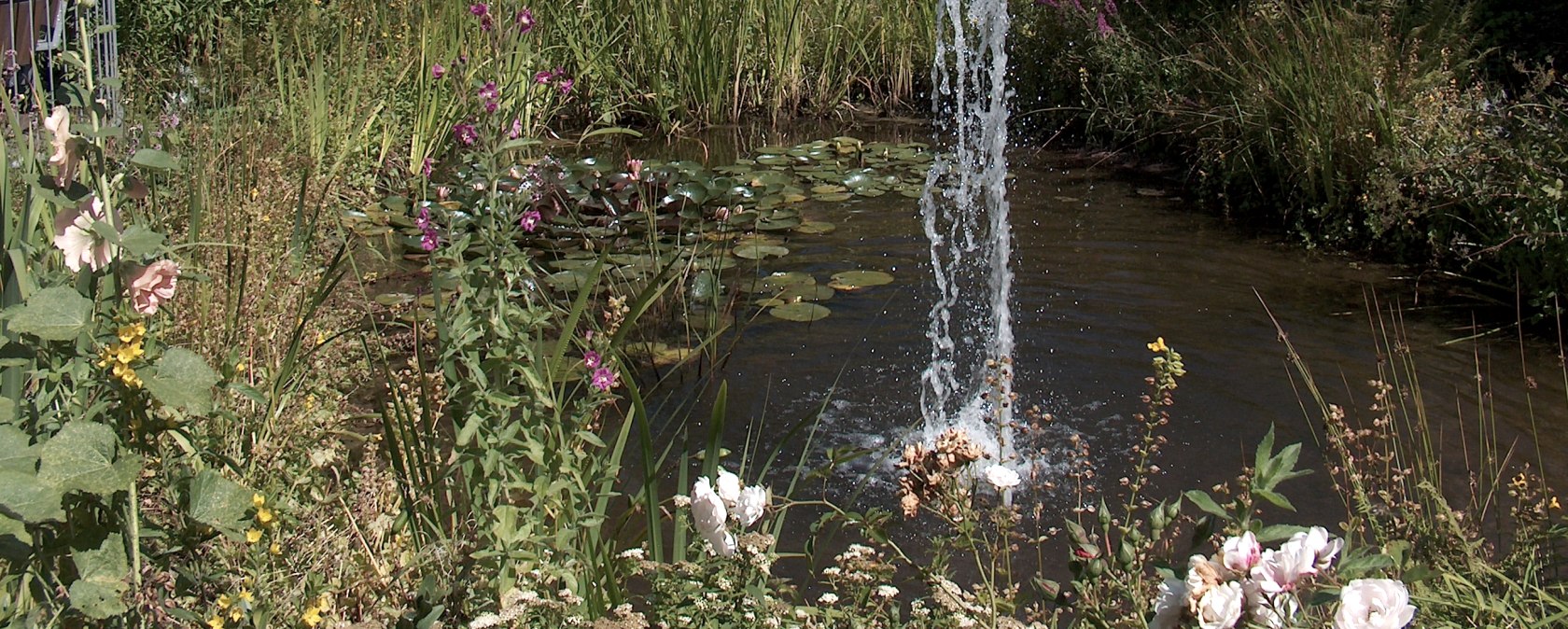 Klein vijverlandschap in het centrum van Imgenbroich, © Monschau-Touristik