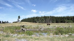 Der "Heidetümpel" auf dem Kindgen, © Foto: Svenja Schulze-Entrup, Quelle: Touristik-Büro Vordereifel