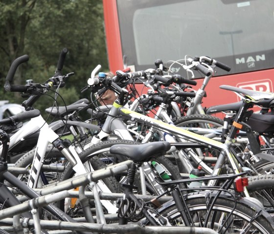 Bus à roues, © Stadtverwaltung Wittlich