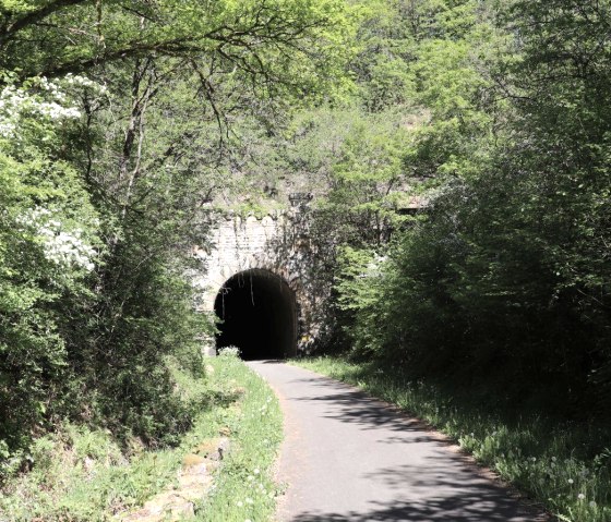 Tunnel Neuerburg, © Enz-Radweg