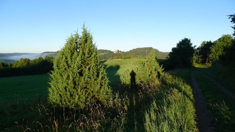 Eine ruhige Landschaft mit grünen Feldern und Bäumen. Der Himmel ist klar und blau, was eine friedliche Atmosphäre schafft.